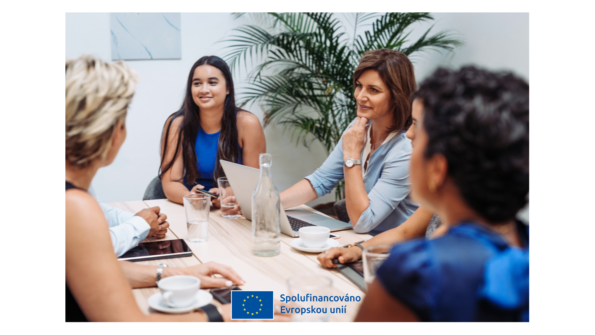 Ilustrační obrázek